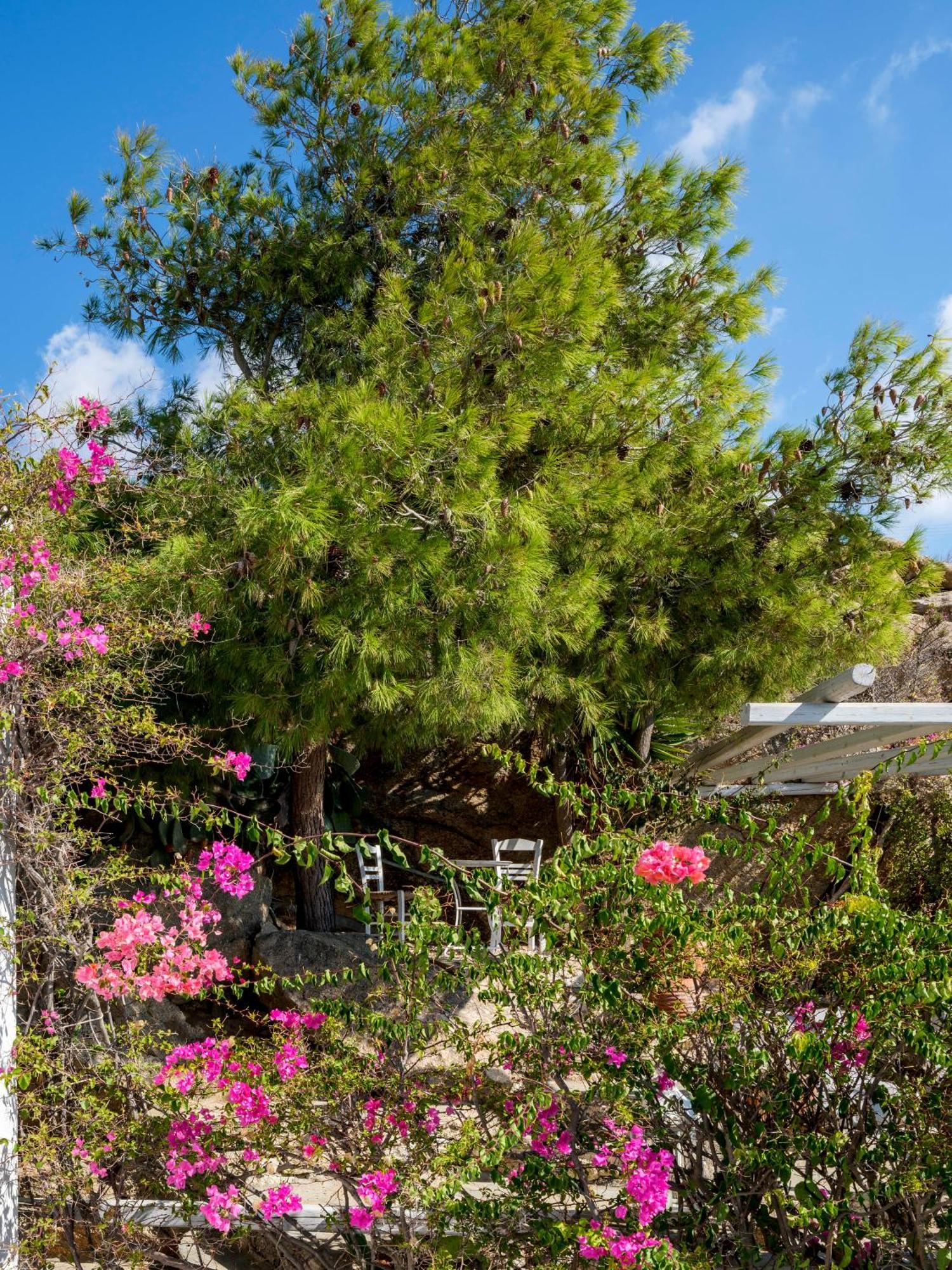 Baybees Sea View Residence Platis Gialos Exterior foto